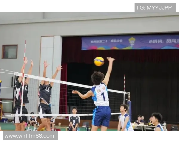 杭州排球队的精神力量与团队意识探讨：排球运动中的团结与奋斗